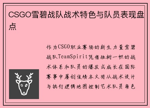 CSGO雪碧战队战术特色与队员表现盘点