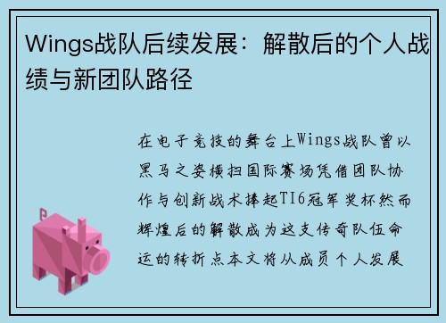 Wings战队后续发展：解散后的个人战绩与新团队路径